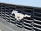2024 Ford Mustang EcoBoost Fastback
